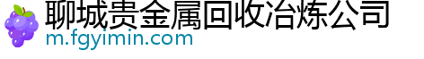 聊城贵金属回收冶炼公司